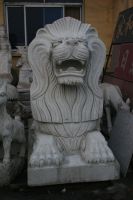 民(mín)族獅